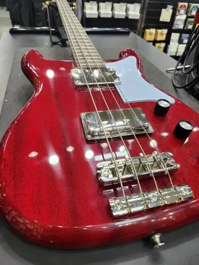 Epiphone - EONB4CHNH